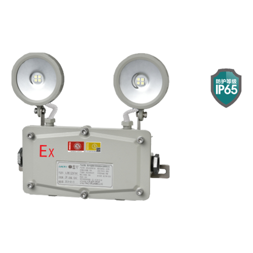 IP65防水/防爆型双头灯